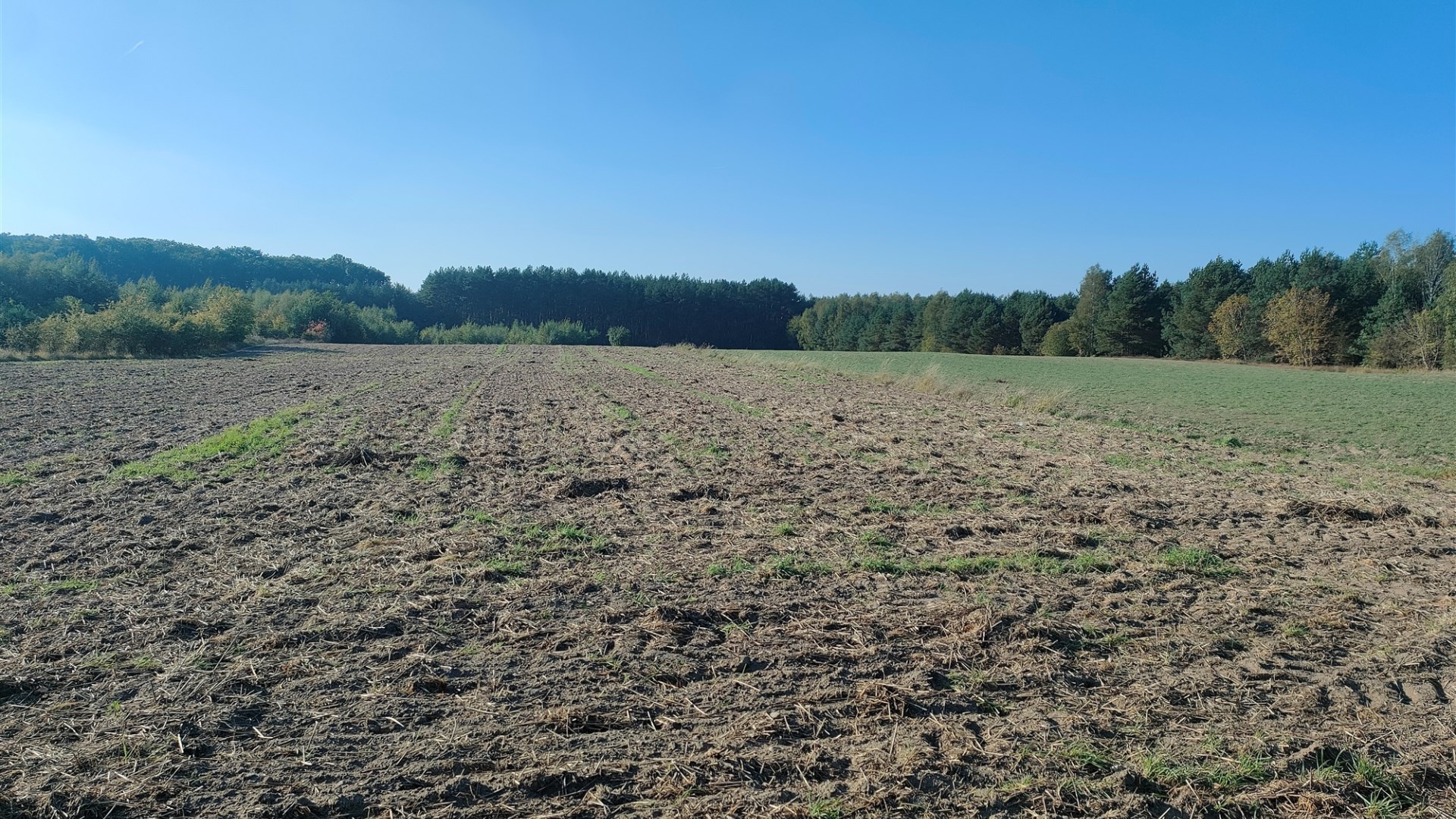 Działka na sprzedaż