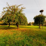 Dom na sprzedaż