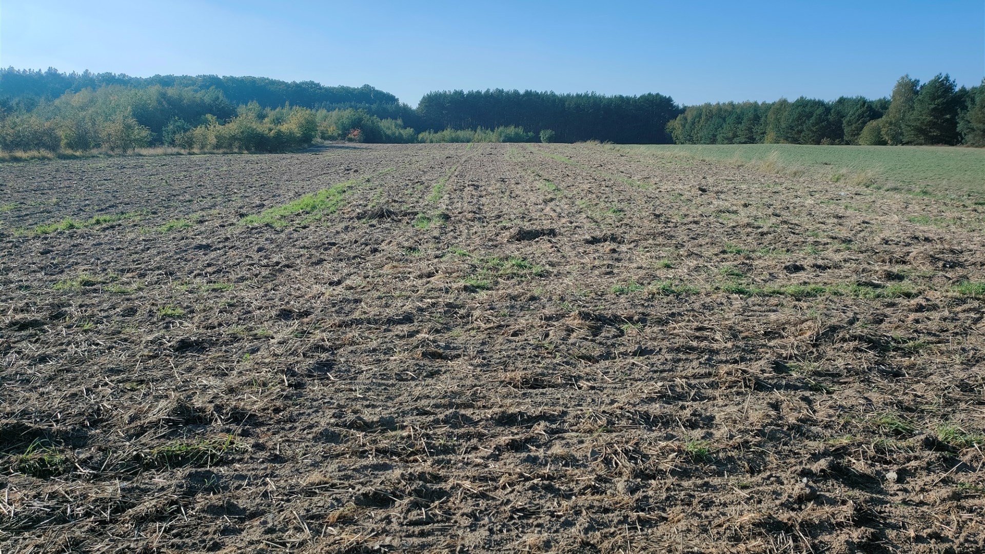 Działka na sprzedaż