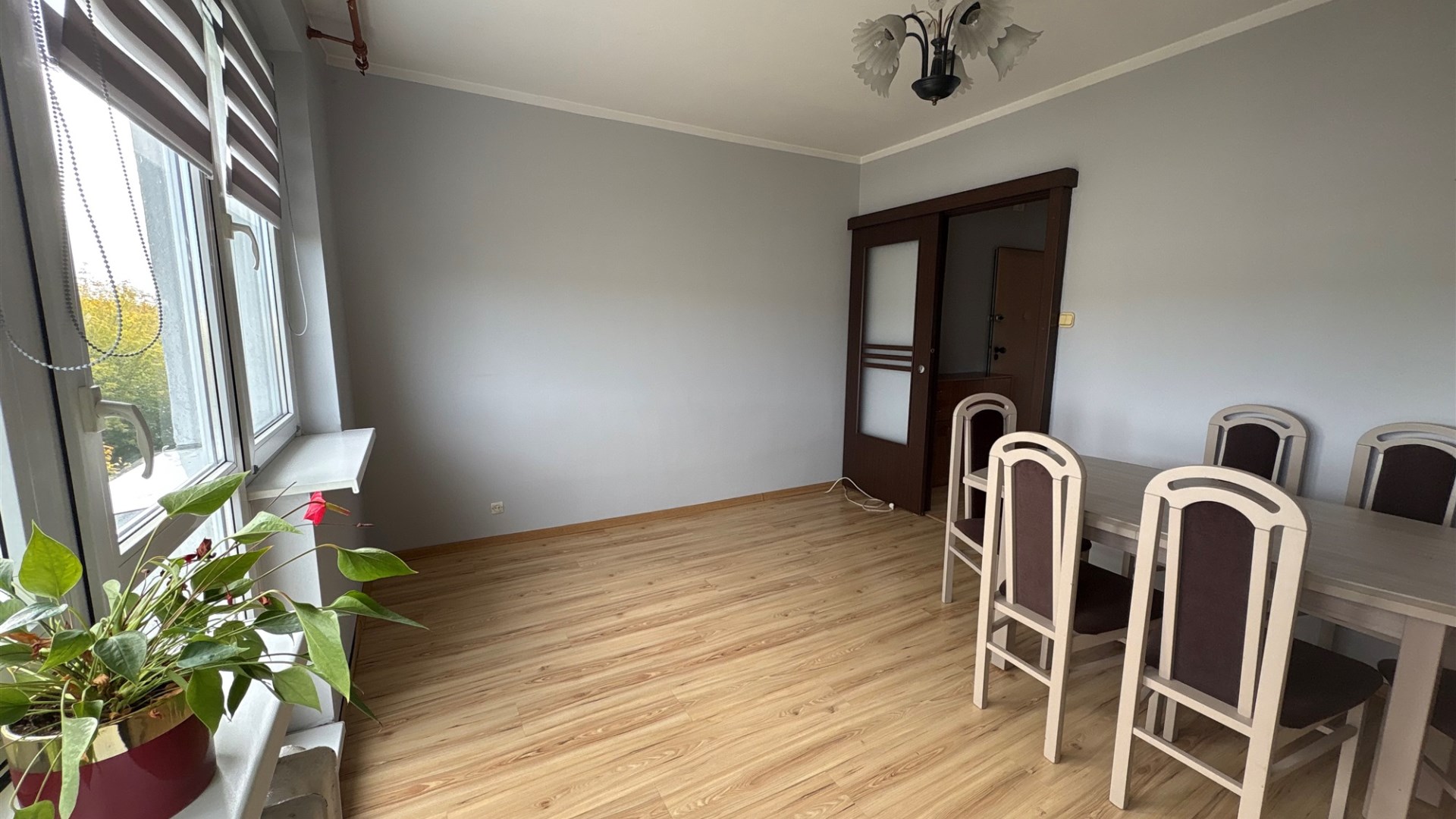 Mieszkanie na wynajem