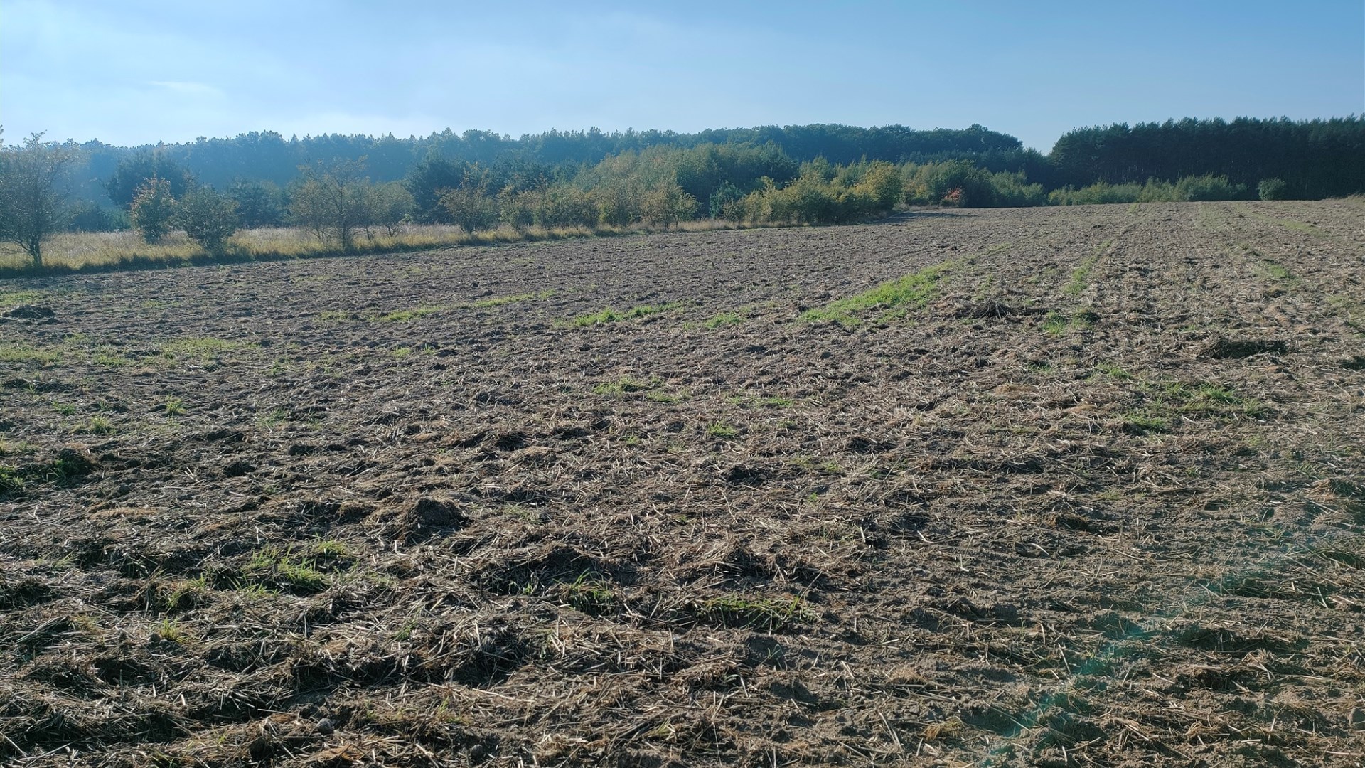 Działka na sprzedaż