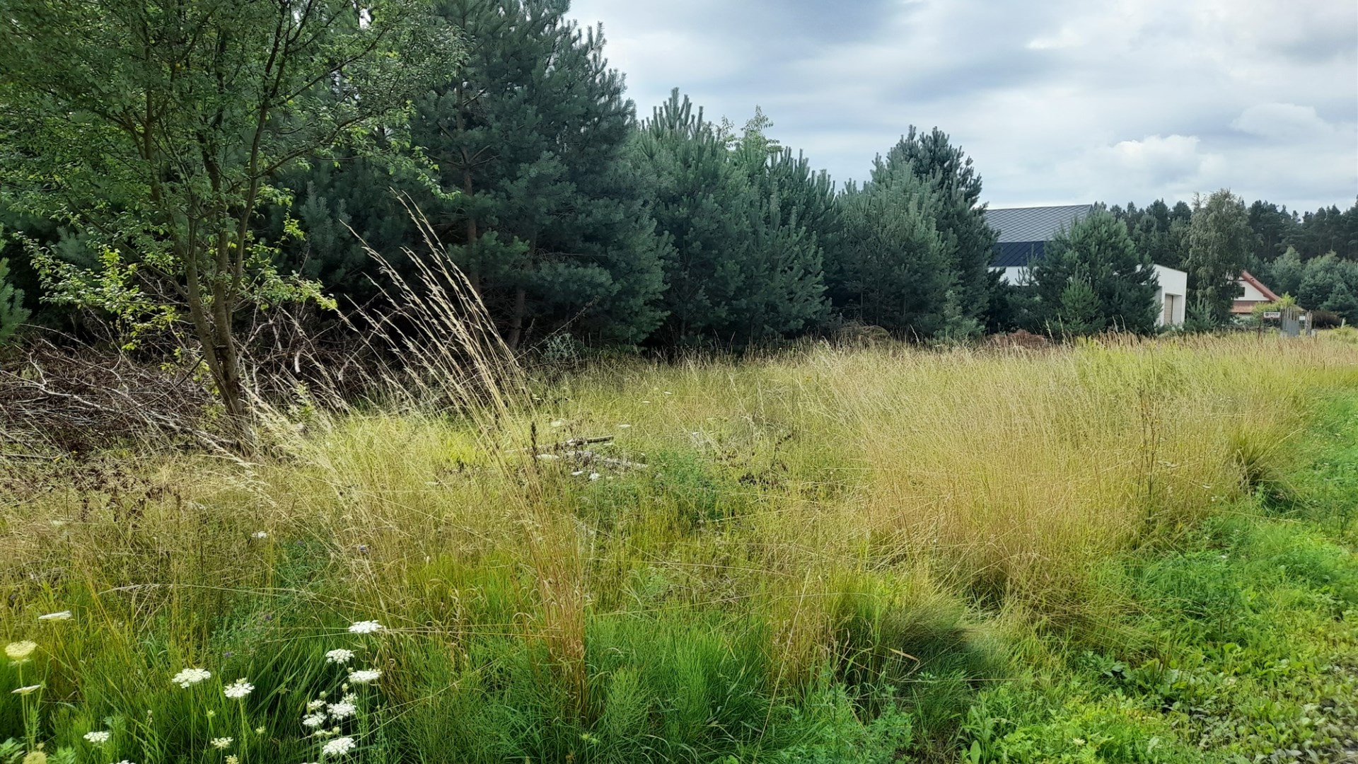 Działka na sprzedaż