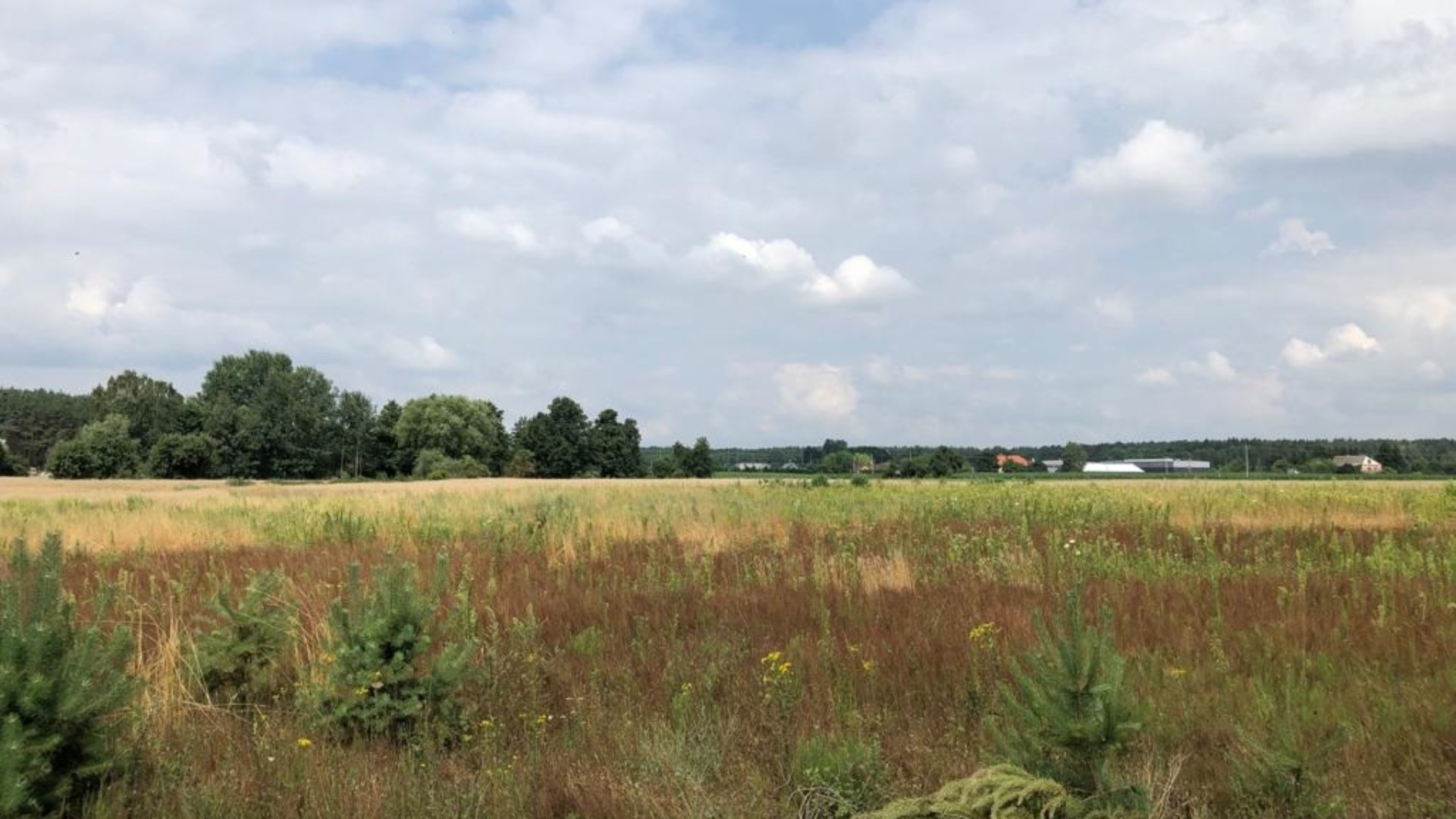 Działka na sprzedaż