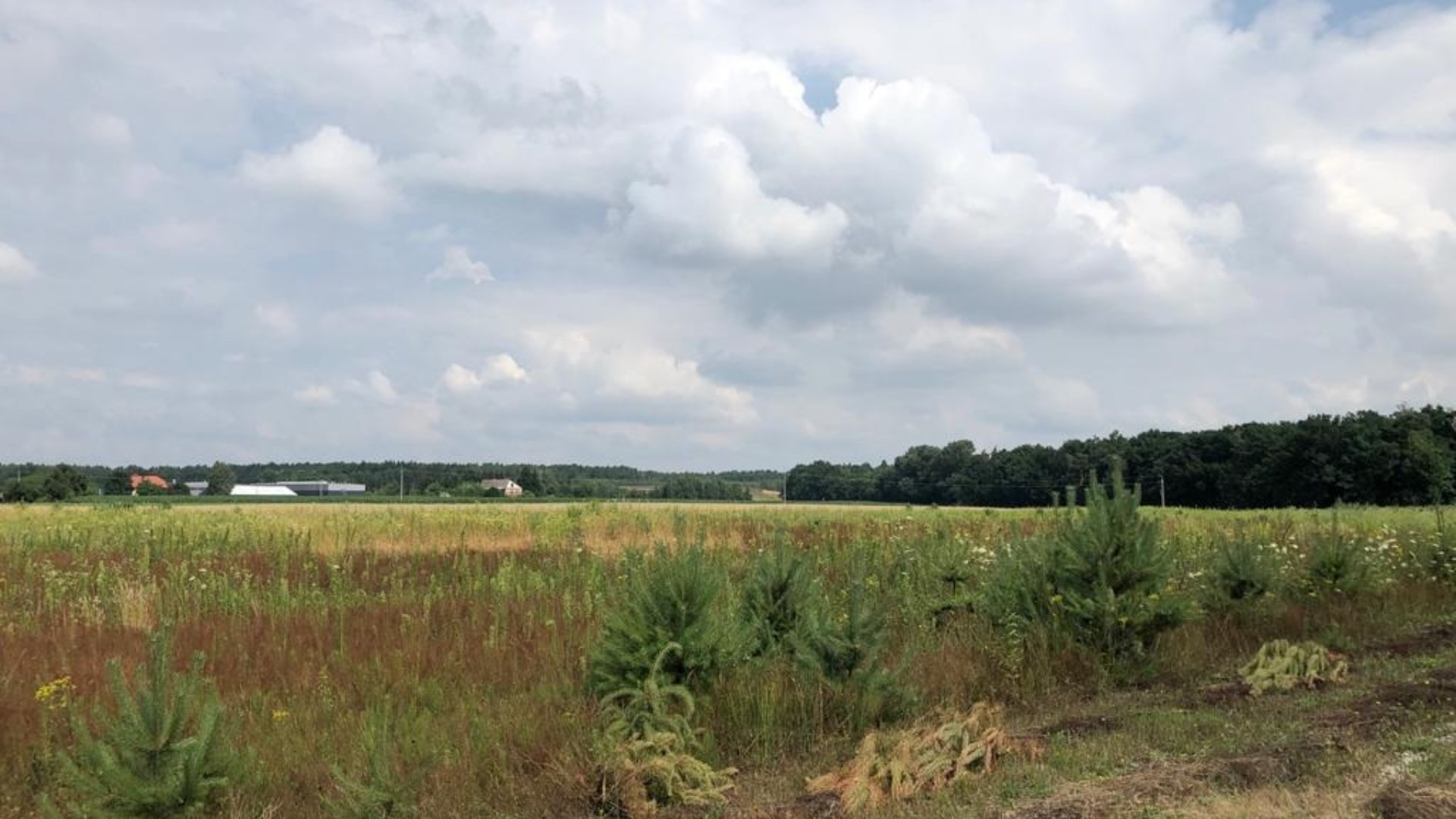 Działka na sprzedaż